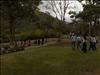 Visitas Guiadas (3)